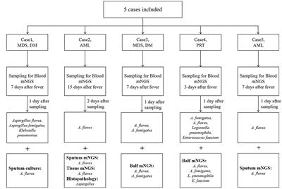 Invasive Pulmonary Aspergillosis Diagnosis via Peripheral Blood Metagenomic Next-Generation Sequencing